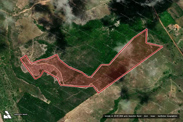 Imagem de satélite — Embargo IBAMA — Infração da Flora — Salgado/SE