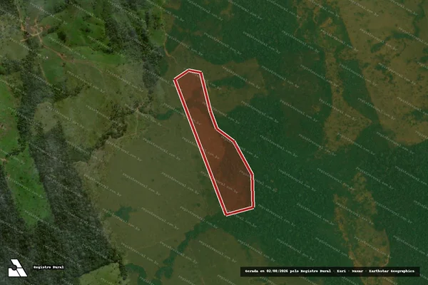 Imagem de satélite de Desmatamento em Porto Velho - RO