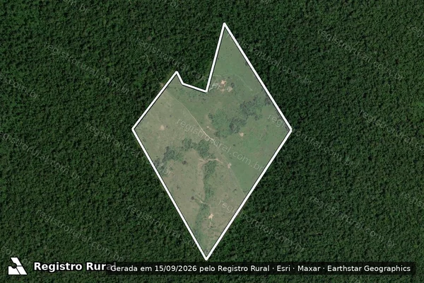 Imagem de satélite de Infração Ambiental em Boca do Acre - AM
