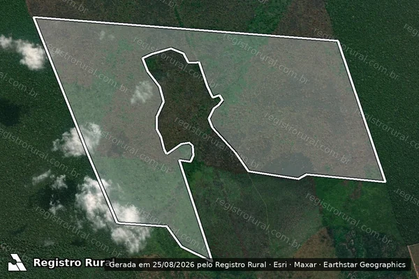 Imagem de satélite de Infração Ambiental em Canutama - AM