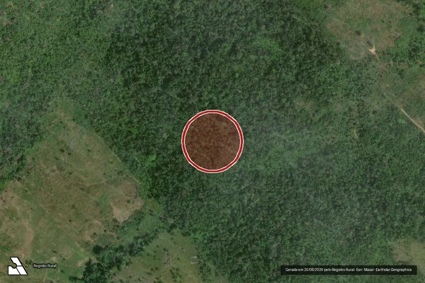 Imagem de satélite de Infração Ambiental em Mucajaí - RR