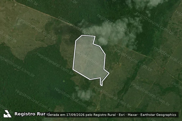 Imagem de satélite — Embargo IBAMA — Infração da Flora - Novo Repartimento/PA