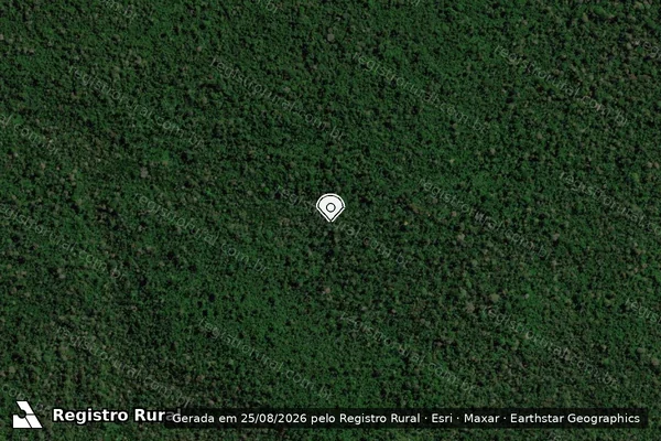 Imagem de satélite de Infração Ambiental em Uruará - PA (marcador da localização)