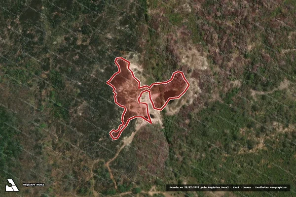 Imagem de satélite de Infração da Flora em Francisco Dumont - MG