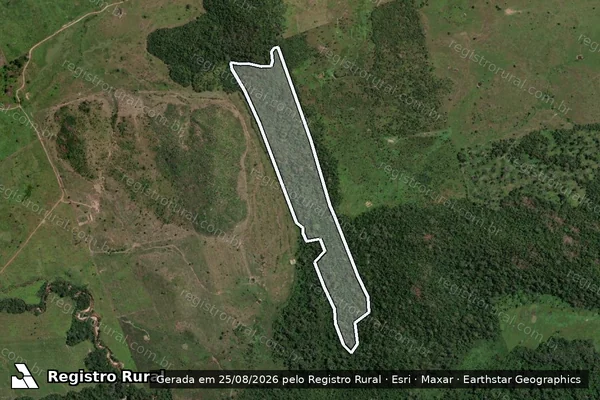 Imagem de satélite de Infração da Flora em Brasil Novo - PA