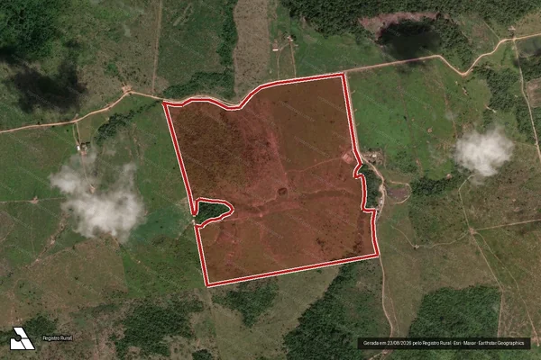 Imagem de satélite de Infração da Flora em Novo Progresso - PA