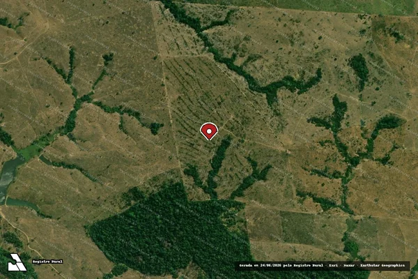 Imagem de satélite de Infração da Flora em Buritis - RO (marcador da localização)