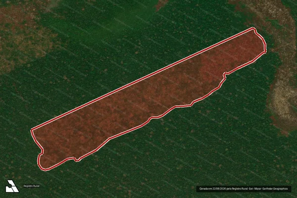 Imagem de satélite de Infração da Flora em Porto Velho - RO