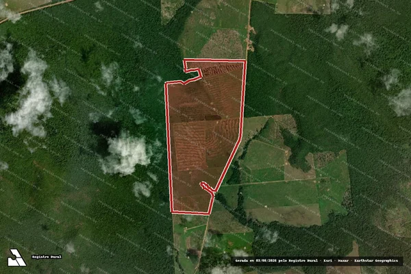 Imagem de satélite de Infração Ambiental em Nova Canaã do Norte - MT