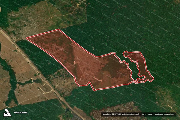 Imagem de satélite — Embargo IBAMA — Infração da Flora — Trairão/PA