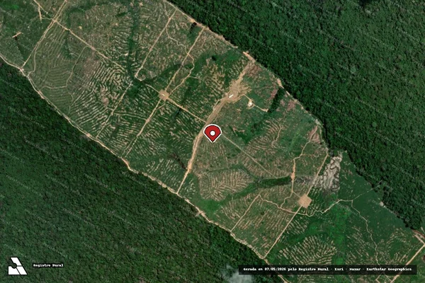 Imagem de satélite — Embargo IBAMA — Infração da Flora — Rorainópolis/RR