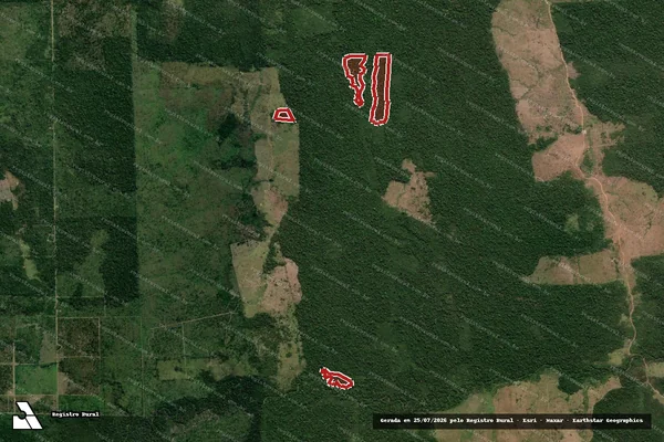 Imagem de satélite de Infração da Flora em Colniza - MT