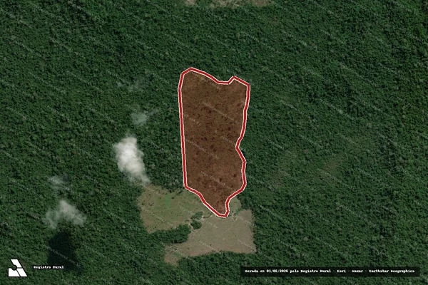 Imagem de satélite de Infração Ambiental em São Félix do Xingu - PA