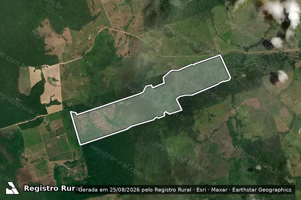 Imagem de satélite de Infração da Flora em Novo Progresso - PA