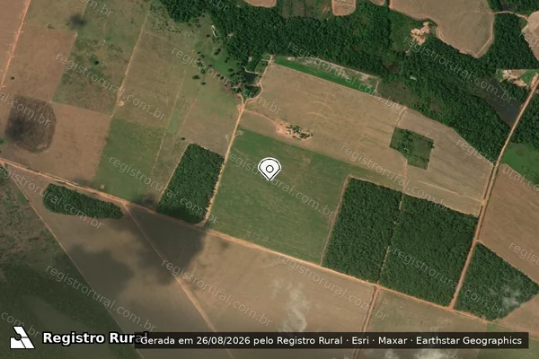 Imagem de satélite de Infração da Flora em Sinop - MT (marcador da localização)