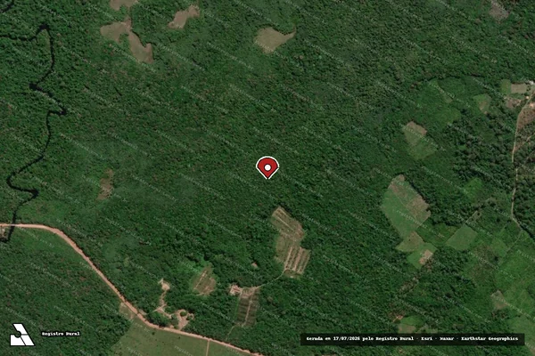 Imagem de satélite — Embargo IBAMA — Infração Ambiental - Moju/PA