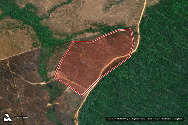 Imagem de satélite de Infração Ambiental em Novo Progresso - PA