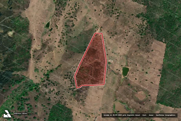 Imagem de satélite de Infração da Flora em Palmeira dos Índios - AL