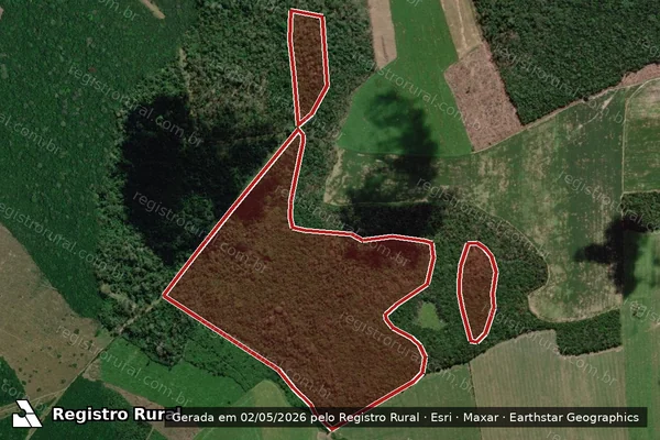 Imagem de satélite de Infração da Flora em Mojuí dos Campos - PA