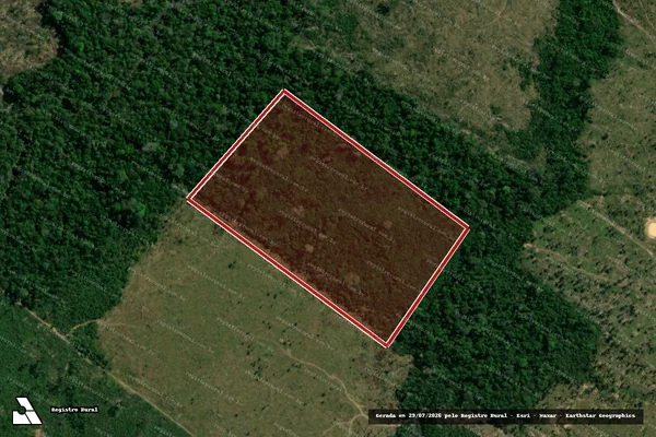 Imagem de satélite de Infração da Flora em Porto Velho - RO