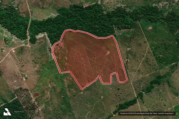 Imagem de satélite de Infração da Flora em Colniza - MT