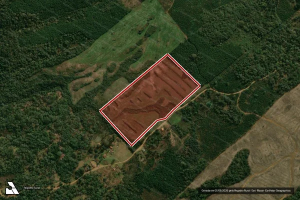 Imagem de satélite de Infração da Flora em Inácio Martins - PR