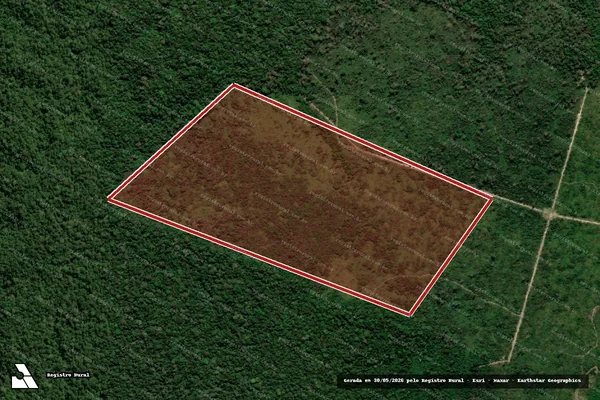 Imagem de satélite de Infração da Flora em Apuí - AM