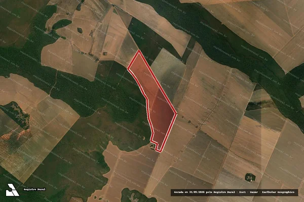 Imagem de satélite de Infração Ambiental em Brasnorte - MT