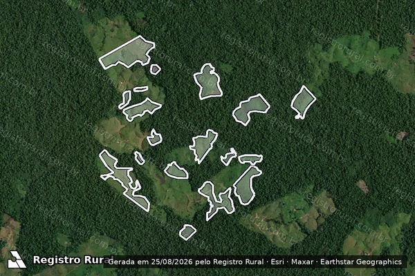Imagem de satélite de Infração da Flora em Feijó - AC