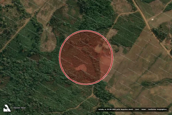 Imagem de satélite — Embargo IBAMA — Desmatamento — Cascavel/PR