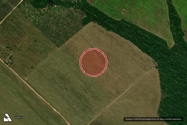 Imagem de satélite — Embargo IBAMA — Infração da Flora - Vilhena/RO