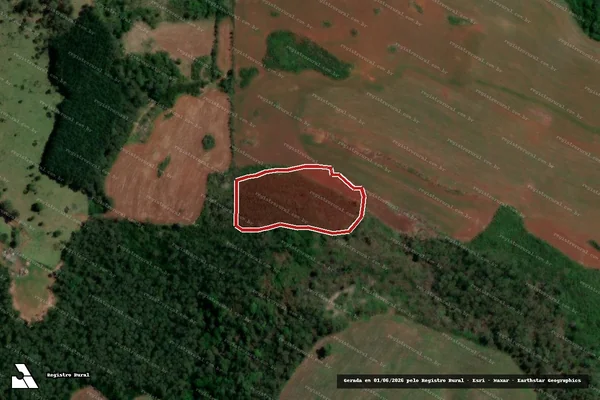 Imagem de satélite de Infração da Flora em Bituruna - PR