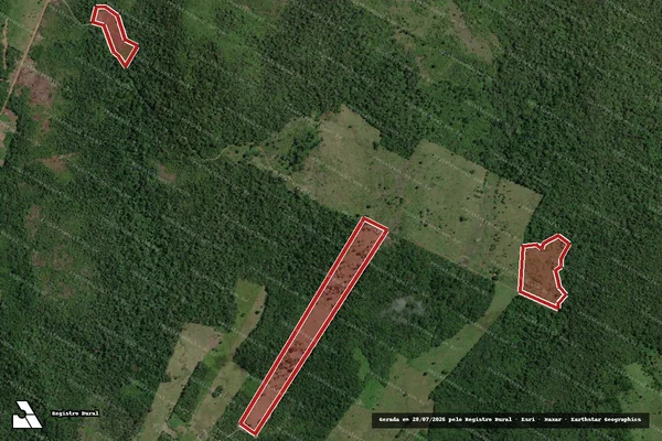 Imagem de satélite de Infração da Flora em Monte Alegre - PA