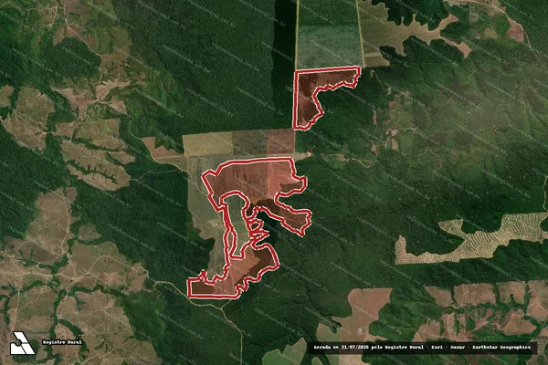 Imagem de satélite de Infração Ambiental em Dom Eliseu - PA