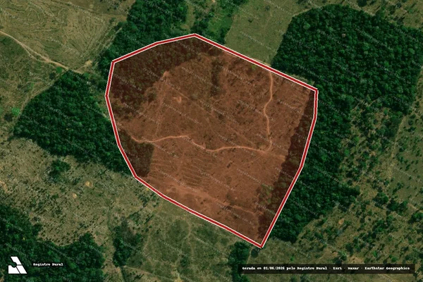 Imagem de satélite de Infração Ambiental em Campo Novo de Rondônia - RO