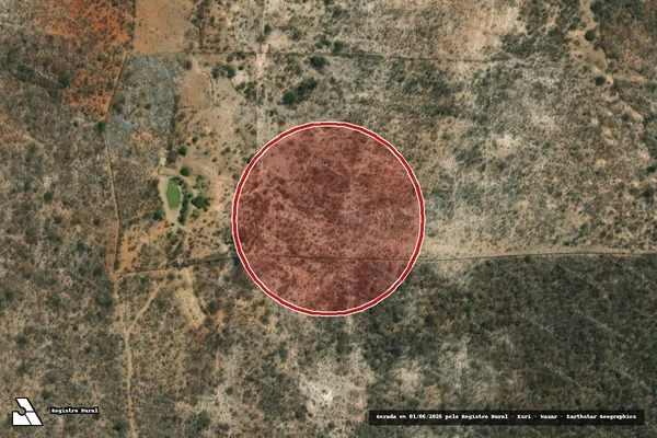 Imagem de satélite — Embargo IBAMA — Desmatamento - Mambaí/GO