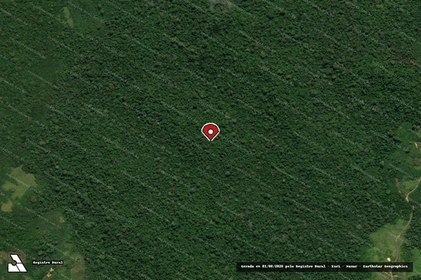 Imagem de satélite de Infração da Flora em Anapu - PA (marcador da localização)