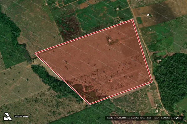 Imagem de satélite — Embargo IBAMA — Infração Ambiental — Manicoré/AM