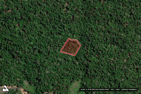 Imagem de satélite de Infração da Flora em Anapu - PA