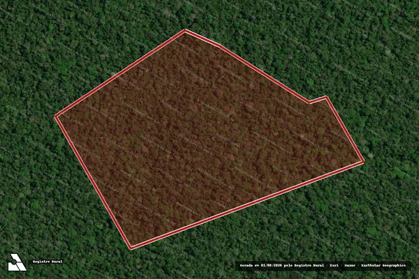 Imagem de satélite de Infração Ambiental em Apuí - AM