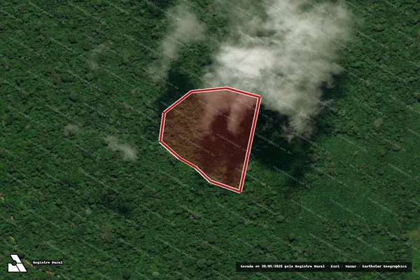 Imagem de satélite de Infração da Flora em Anapu - PA