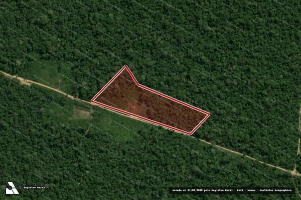 Imagem de satélite de Infração da Flora em Uruará - PA