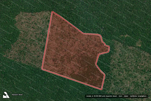 Imagem de satélite de Infração Ambiental em Humaitá - AM