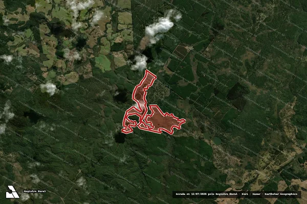 Imagem de satélite de Infração da Flora em Bituruna - PR