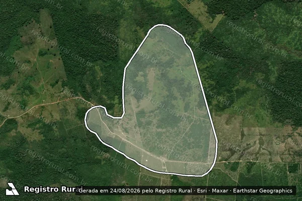 Imagem de satélite de Infração da Flora em Novo Aripuanã - AM
