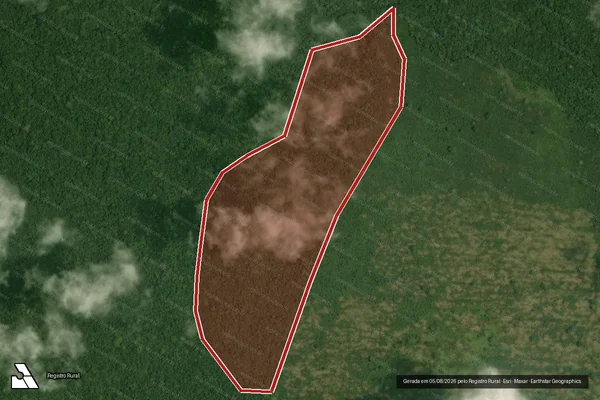 Imagem de satélite de Infração da Flora em Portel - PA