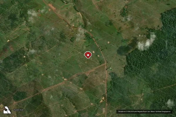 Imagem de satélite de Infração Ambiental em Manicoré - AM (marcador da localização)