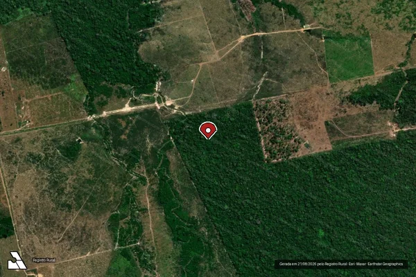 Imagem de satélite de Infração da Flora em Nova Bandeirantes - MT (marcador da localização)