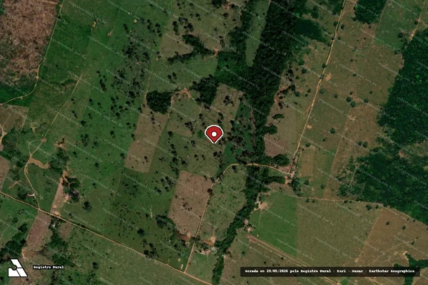 Imagem de satélite de Infração da Flora em Boca do Acre - AM (marcador da localização)