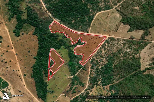 Imagem de satélite de Infração da Flora em Niquelândia - GO